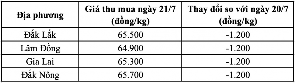Giá cà phê hôm nay tại Đắk Nông