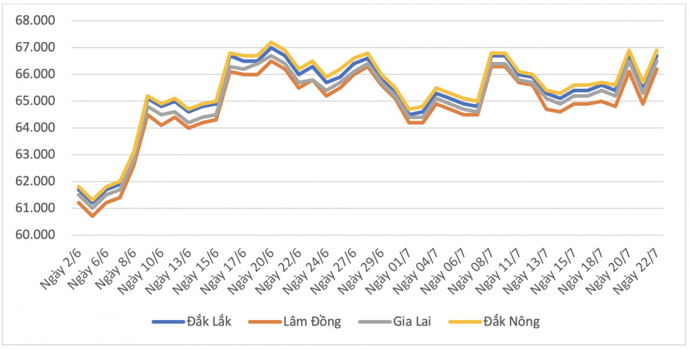 Giá cà phê hôm nay tại Đắk Nông