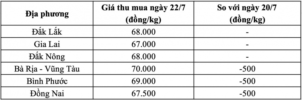 Giá tiêu hôm nay tại Đắk Nông