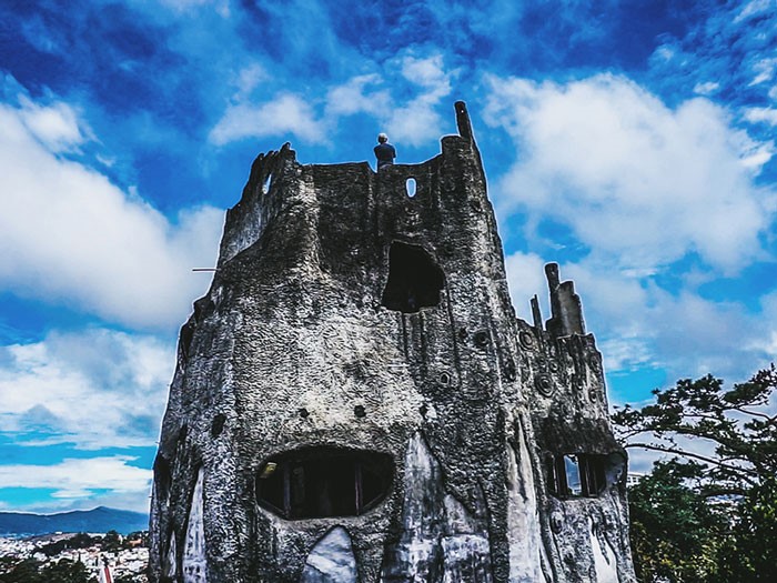 Biệt thự gốc cây
