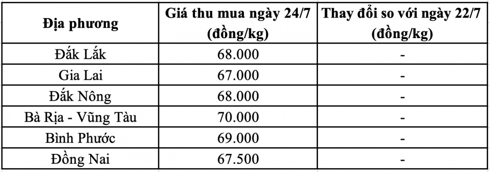 Giá tiêu hôm nay tại Gia Lai