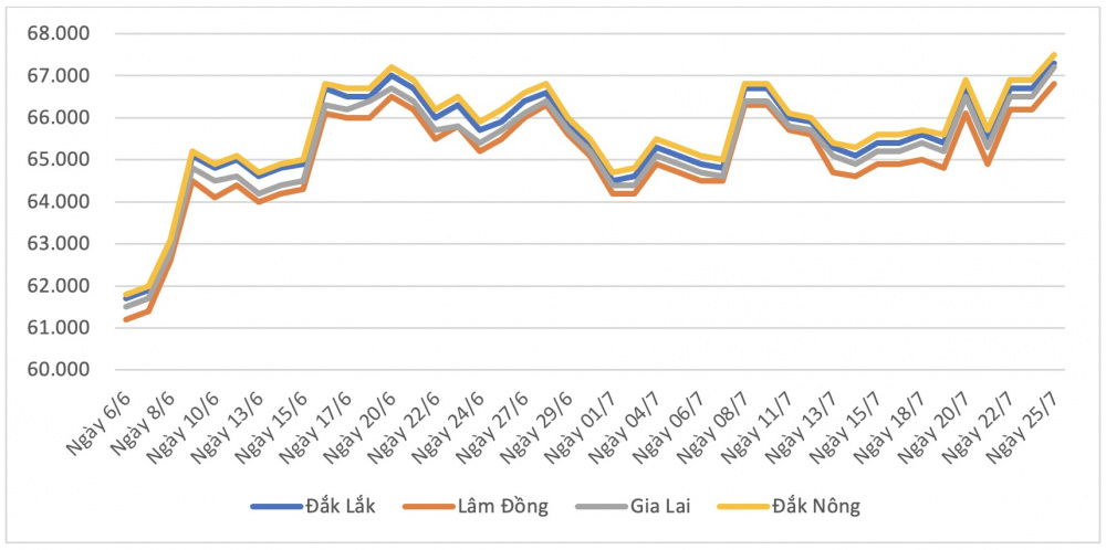 Giá cà phê hôm nay tại Đắk Nông