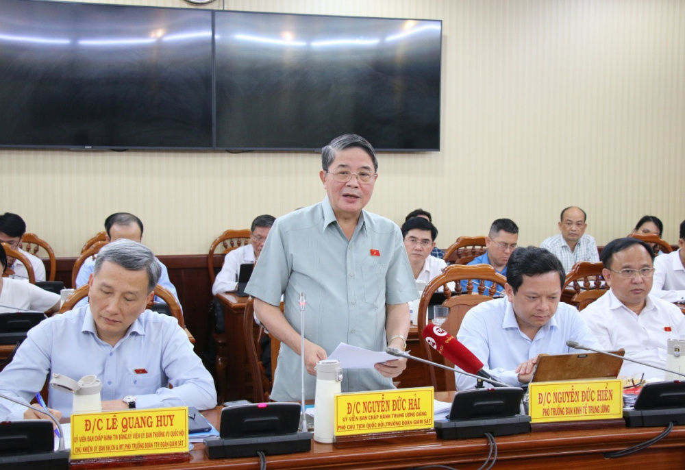 Phó Chủ tịch Quốc hội Nguyễn Đức Hải