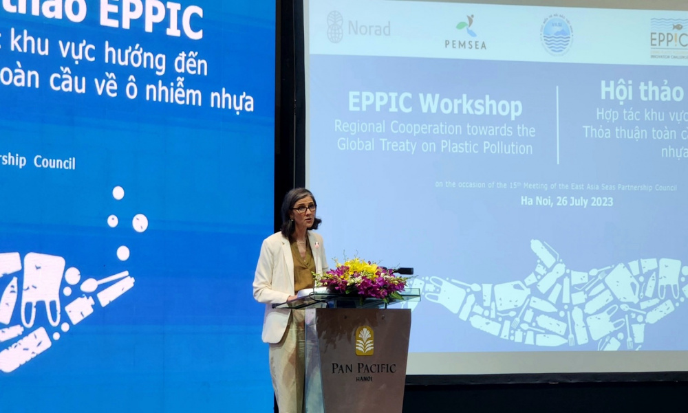 Đại diện UNDP tại Hội thảo 