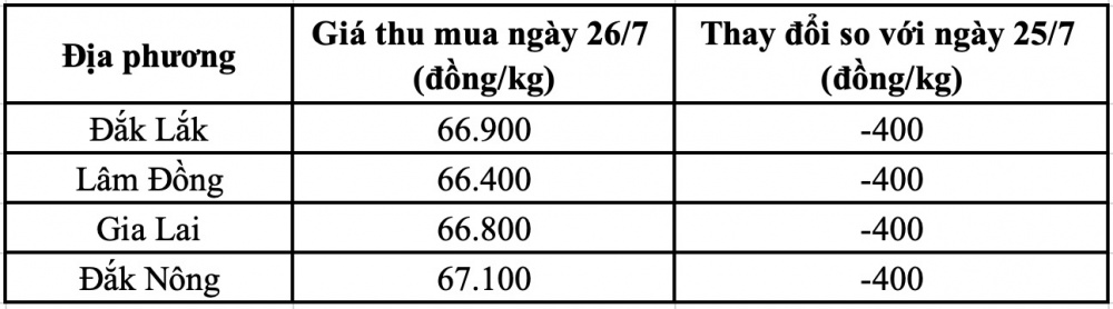 Giá cà phê hôm nay tại Gia Lai