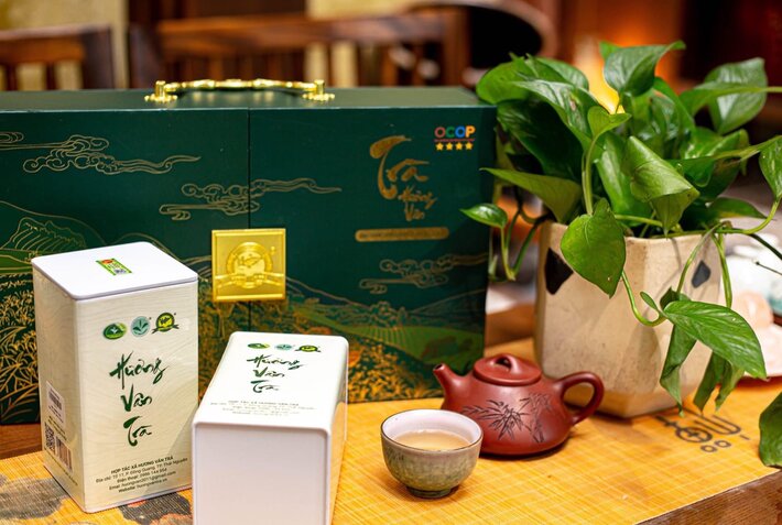 Cwin.com link không chặn