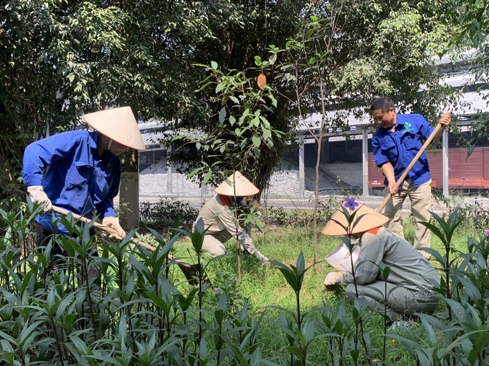 không gian xanh