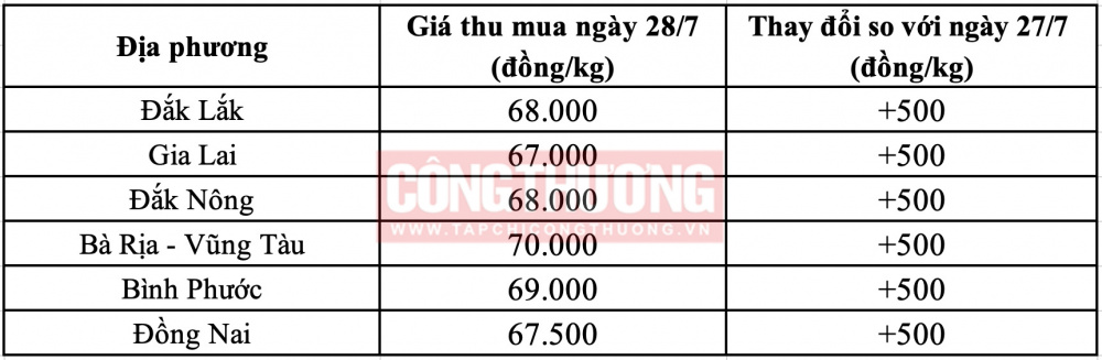 Giá tiêu hôm nay