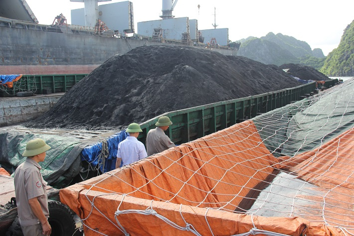 tkv phong chong mua bao 4