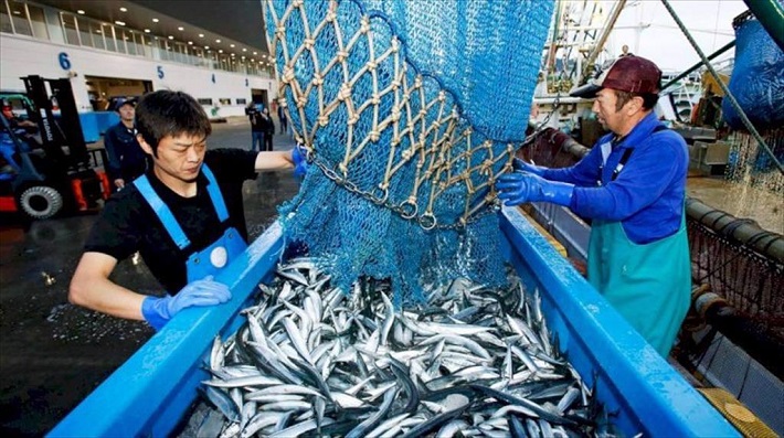 Hải sản Nhật Bản