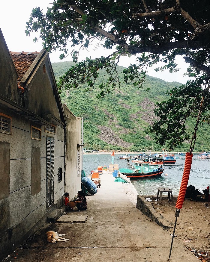 Đảo Bích Đầm