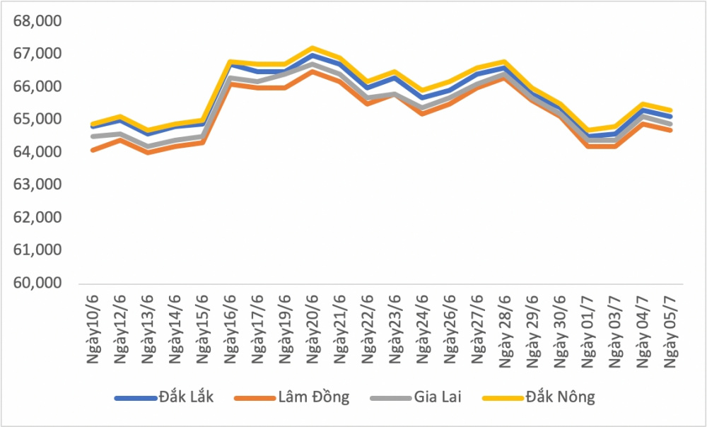 Giá cà phê ngày 5/7 đồng loạt giảm