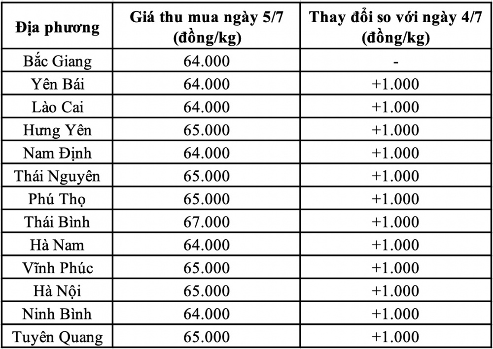 Giá heo hơi hôm nay miền Bắc