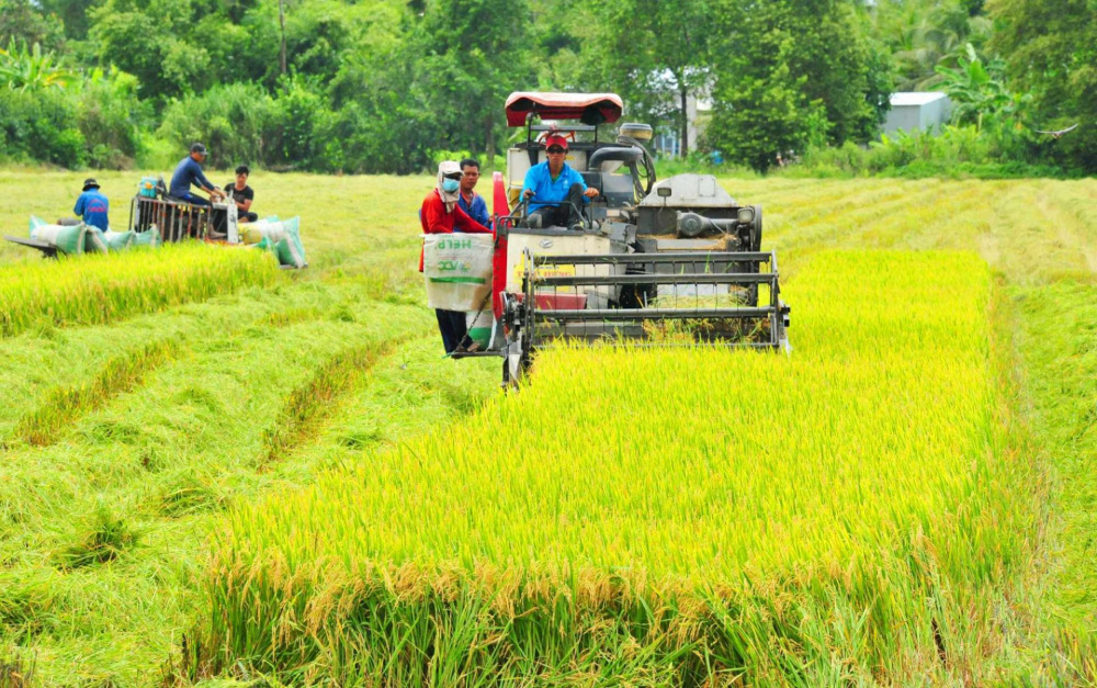 Đẩy mạnh ứng dụng khoa học - công nghệ trong Cwin.com link không chặn; nâng cao chất lượng nông lâm thủy sản vùng Đồng bằng sông Cửu Long