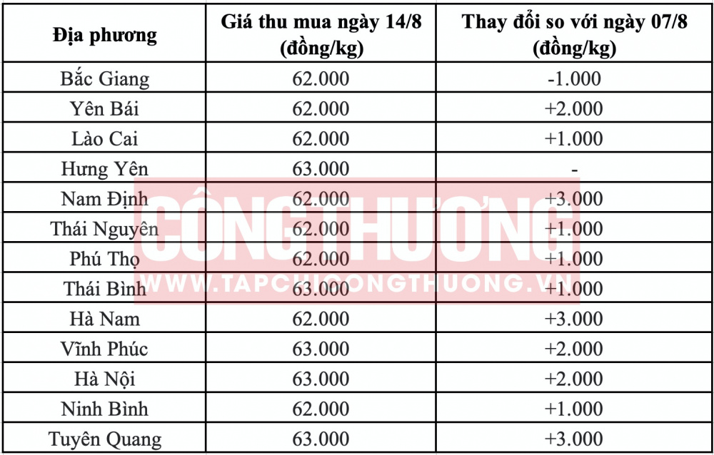 Giá heo hơi hôm nay tại miền Bắc CWIN ✅ Nhà cái cờ bạc trực tuyến tốt nhất và Thương hiệu uy tín