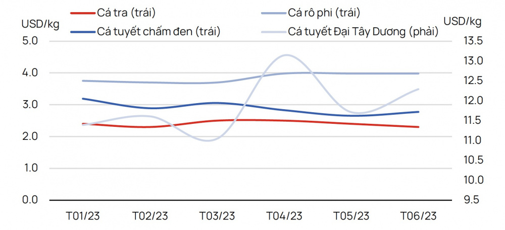 Giá Cwin Đăng Ký + 1888k cá tra trung bình