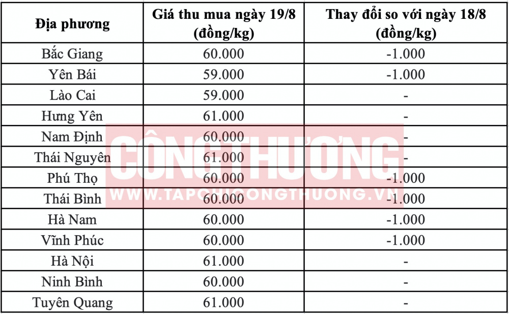 Giá heo hơi hôm nay tại miền Bắc CWIN ✅ Nhà cái cờ bạc trực tuyến tốt nhất và Thương hiệu uy tín
