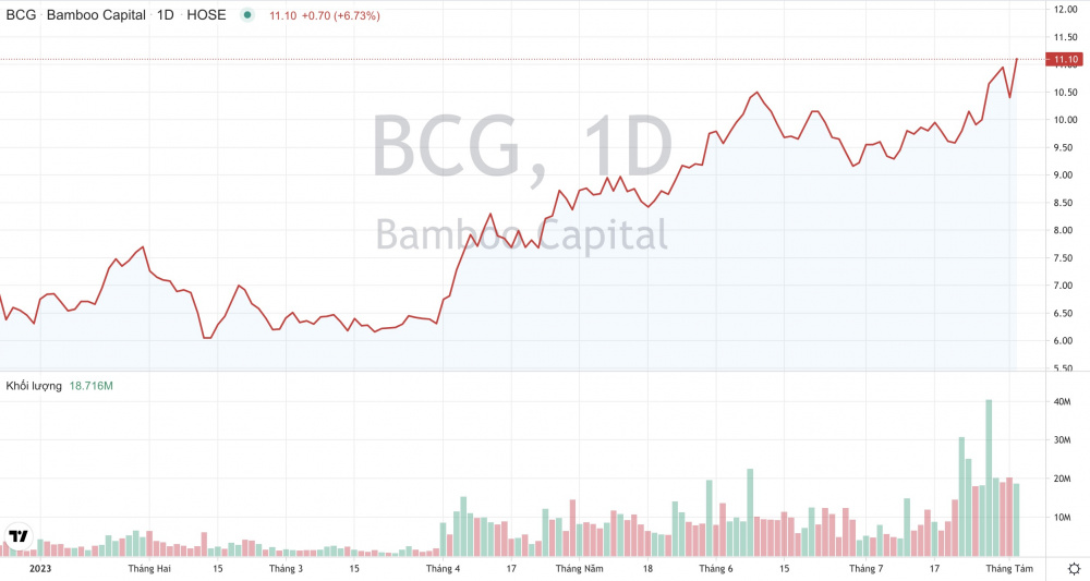 Giá cổ phiếu BCG Bamboo Capital