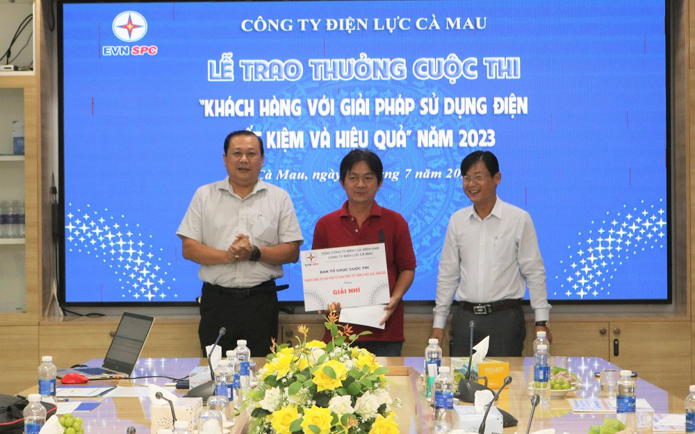 dien luc Ca Mau