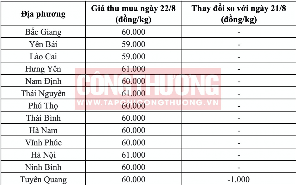 Giá heo hơi hôm nay tại miền Bắc CWIN ✅ Nhà cái cờ bạc trực tuyến tốt nhất và Thương hiệu uy tín
