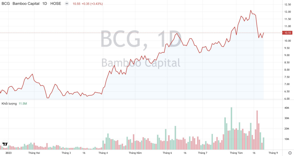 Giá cổ phiếu BCG Tập đoàn Bamboo Capital