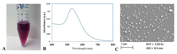 tụ cầu khuẩn Staphylococcus aureus