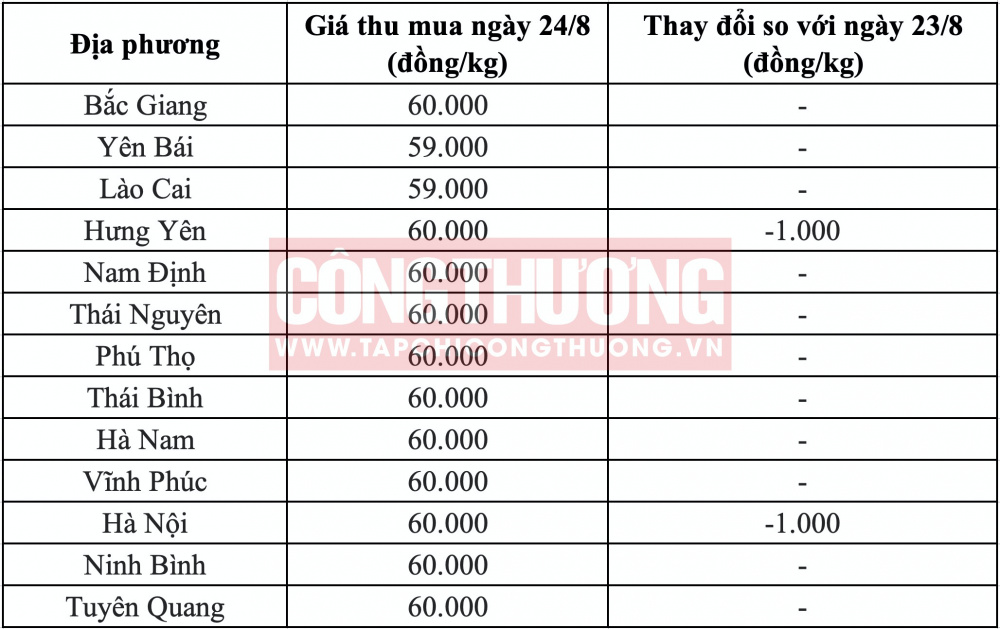 Giá heo hơi hôm nay tại miền Bắc CWIN ✅ Nhà cái cờ bạc trực tuyến tốt nhất và Thương hiệu uy tín