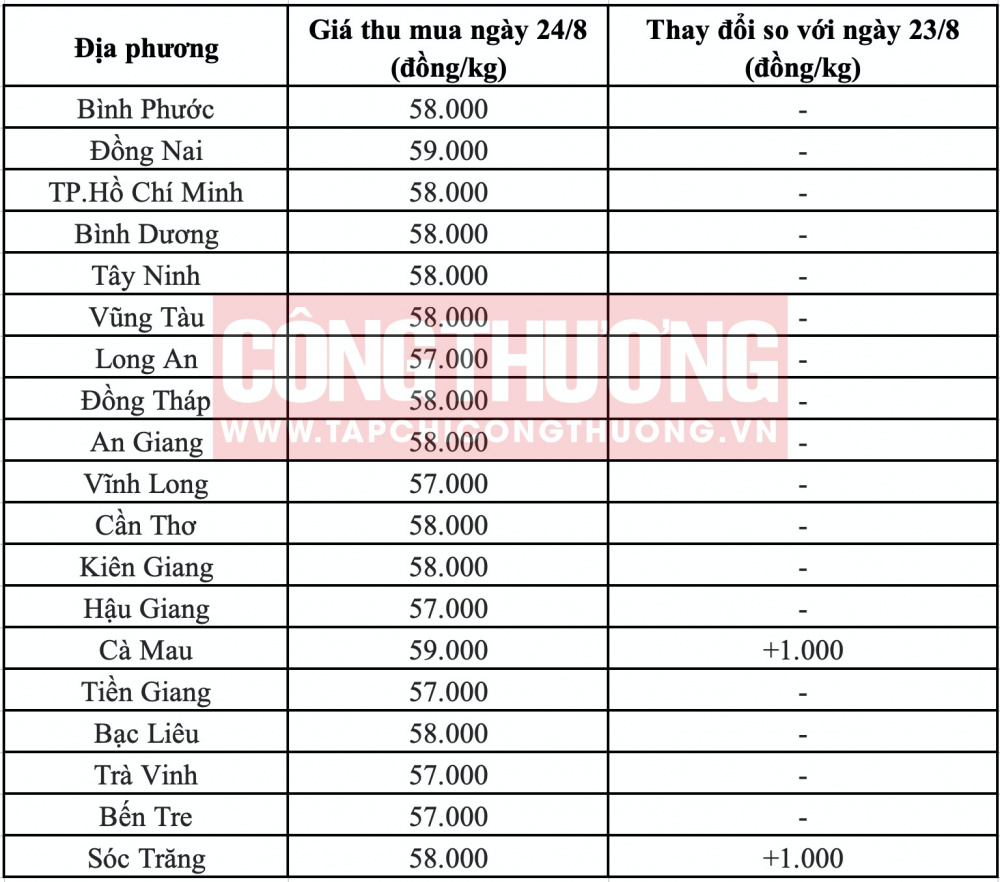 Giá heo hơi hôm nay tại miền Nam CWIN ✅ Nhà cái cờ bạc trực tuyến tốt nhất và Thương hiệu uy tín