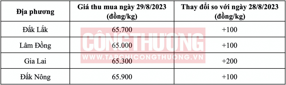 Giá cà phê hôm nay CWIN ✅ Nhà cái cờ bạc trực tuyến tốt nhất và Thương hiệu uy tín