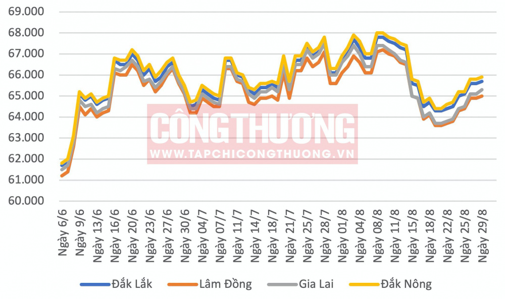 Giá cà phê hôm nay CWIN ✅ Nhà cái cờ bạc trực tuyến tốt nhất và Thương hiệu uy tín