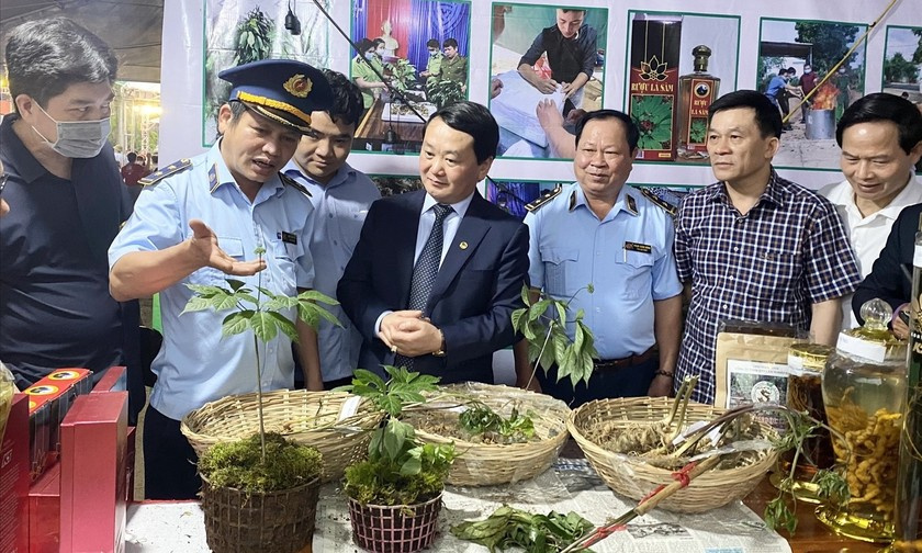 sâm Ngọc linh giả