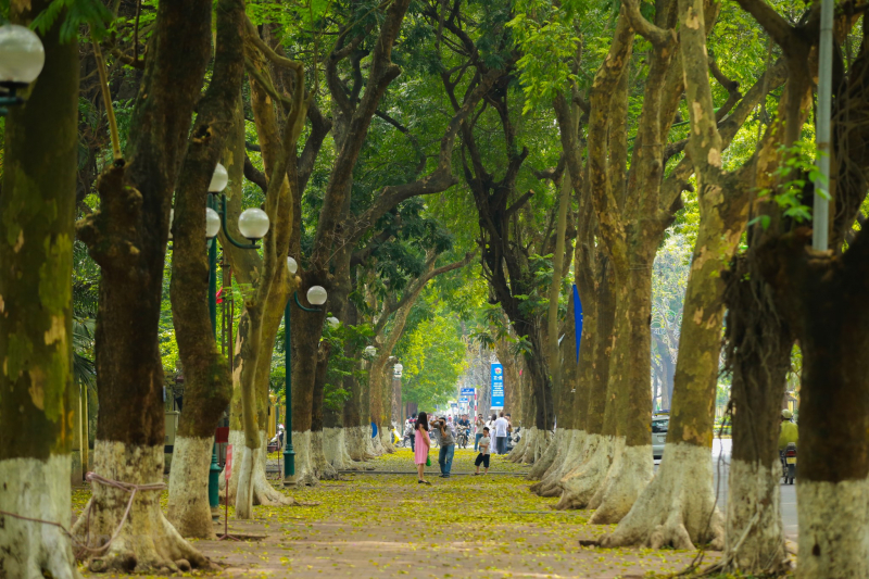 du lịch tại chỗ