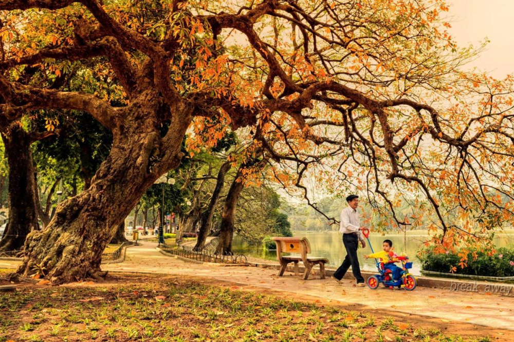 du lịch tại chỗ