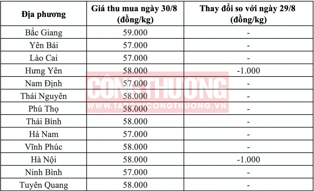 Giá heo hơi hôm nay tại miền Bắc CWIN ✅ Nhà cái cờ bạc trực tuyến tốt nhất và Thương hiệu uy tín