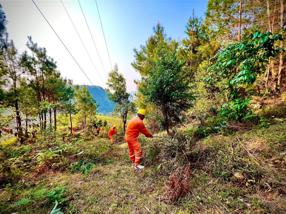 đảm bảo cấp điện