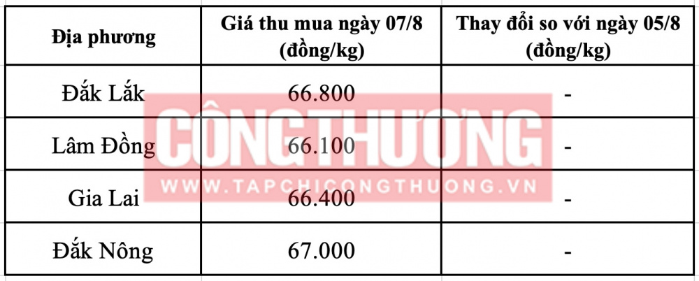 Giá cà phê hôm nay tại Tây Nguyên CWIN ✅ Nhà cái cờ bạc trực tuyến tốt nhất và Thương hiệu uy tín