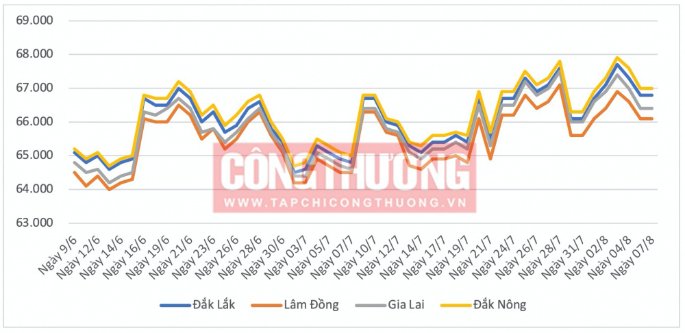 Giá cà phê hôm nay tại Đắk Nông