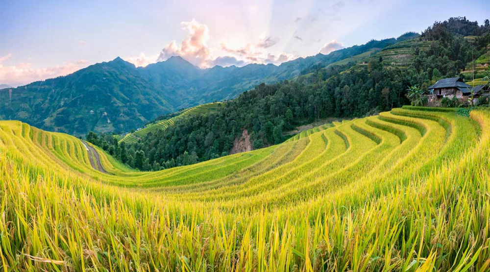 Hoàng Su Phì là một tuyệt tác thiên nhiên với vẻ đẹp quyến rũ làm mê đắm lòng người.