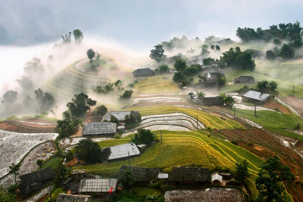 Hoàng Su Phì