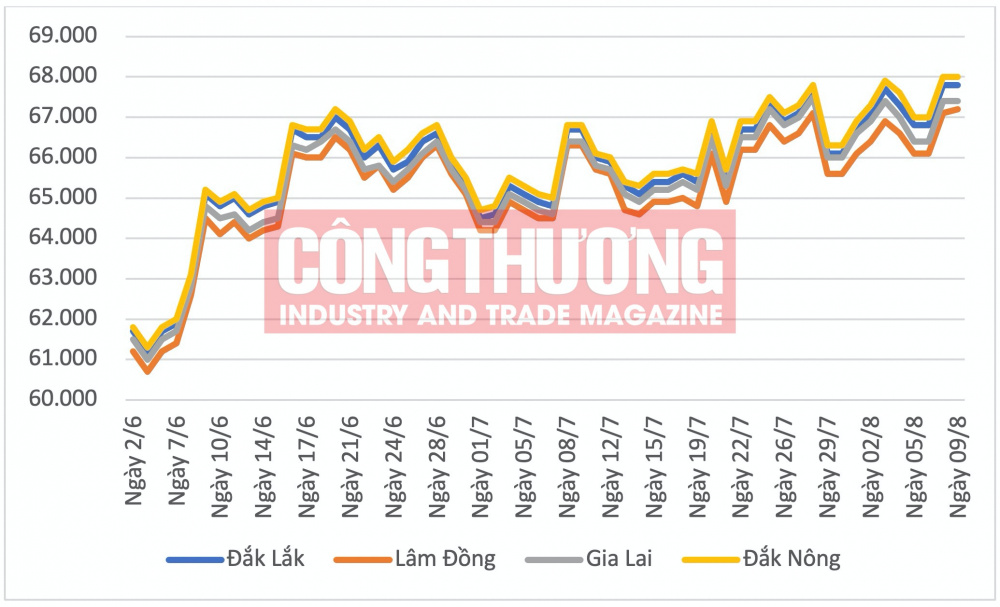 Giá cà phê hôm nay CWIN ✅ Nhà cái cờ bạc trực tuyến tốt nhất và Thương hiệu uy tín