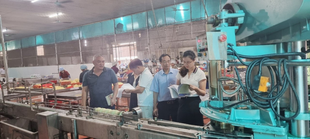 Từ nguồn kinh phí khuyến công địa phương năm 2022 hỗ trợ, Công ty Cổ phần Chế biến nông sản Việt Xanh (thị trấn Yên Ninh, huyện Yên Khánh, tỉnh Ninh Bình) đã Cwin800 hàng ngàn khuyến mãi mua máy chế biến nông sản