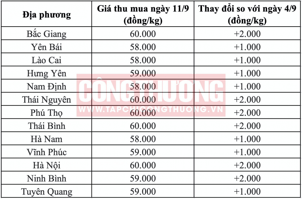 Giá heo hơi hôm nay tại miền Bắc CWIN ✅ Nhà cái cờ bạc trực tuyến tốt nhất và Thương hiệu uy tín