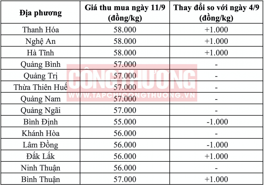 Giá heo hơi hôm nay tại miền Trung CWIN ✅ Nhà cái cờ bạc trực tuyến tốt nhất và Thương hiệu uy tín