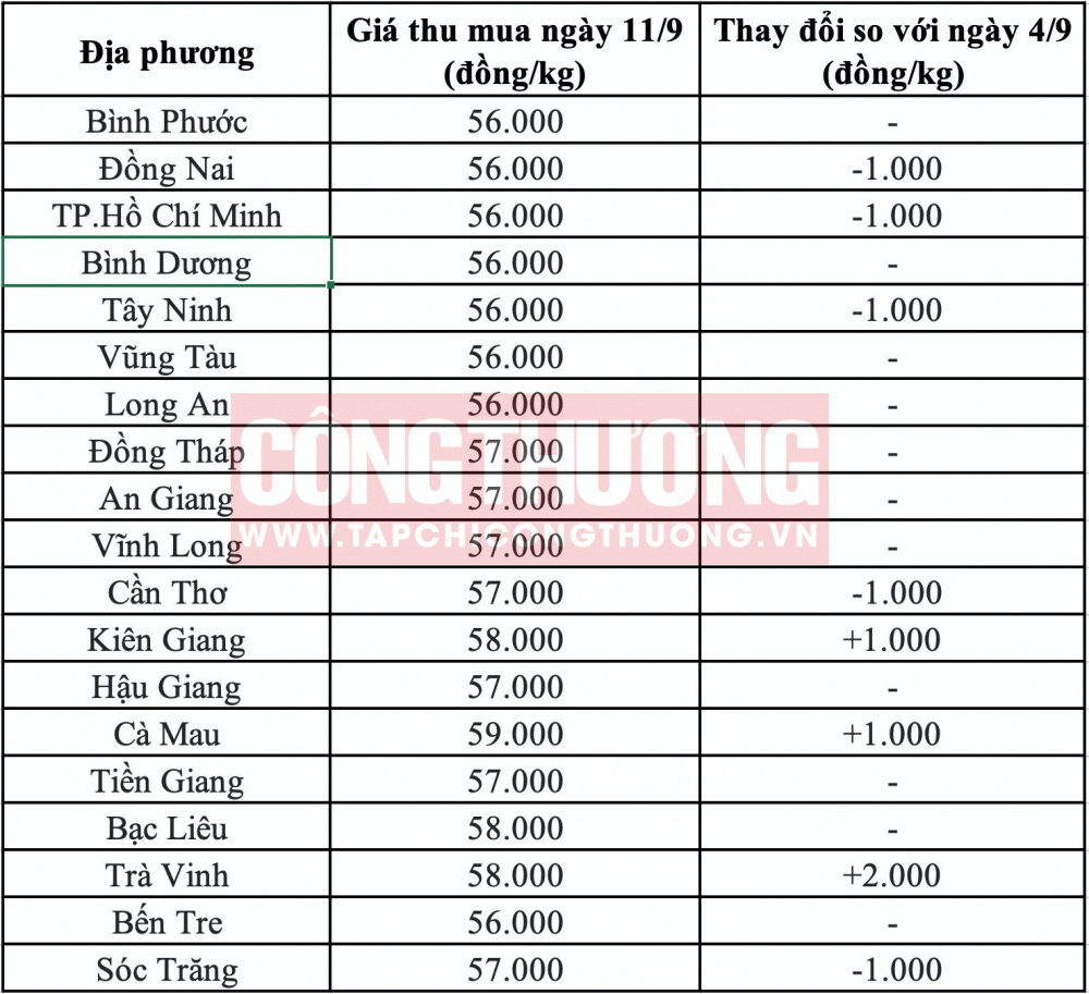 Giá heo hơi hôm nay tại miền Nam CWIN ✅ Nhà cái cờ bạc trực tuyến tốt nhất và Thương hiệu uy tín