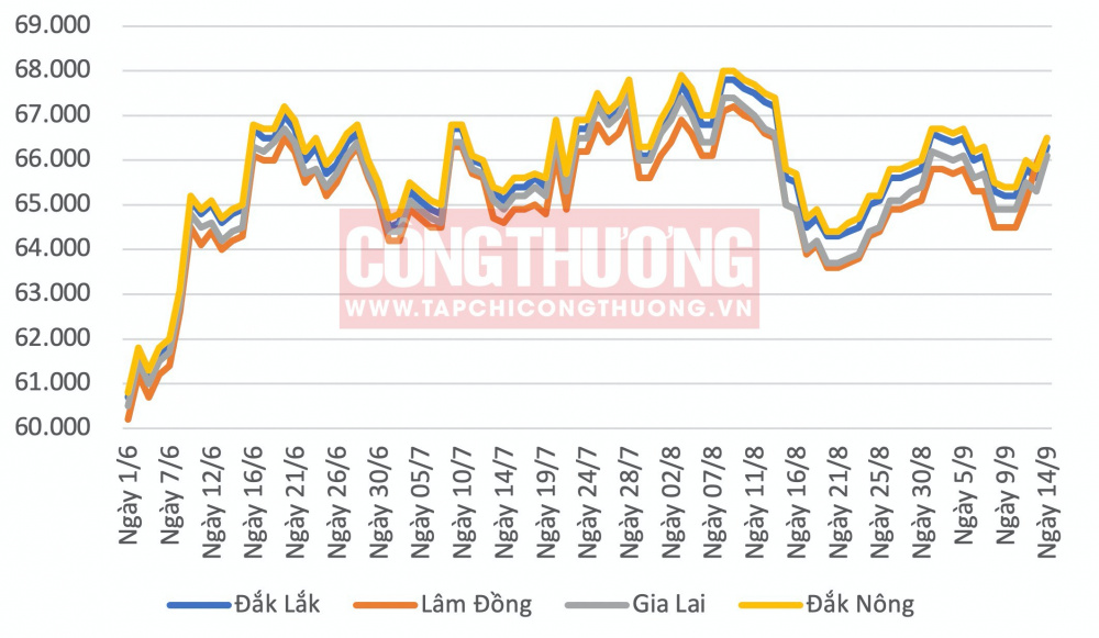 Giá cà phê hôm nay CWIN ✅ Nhà cái cờ bạc trực tuyến tốt nhất và Thương hiệu uy tín