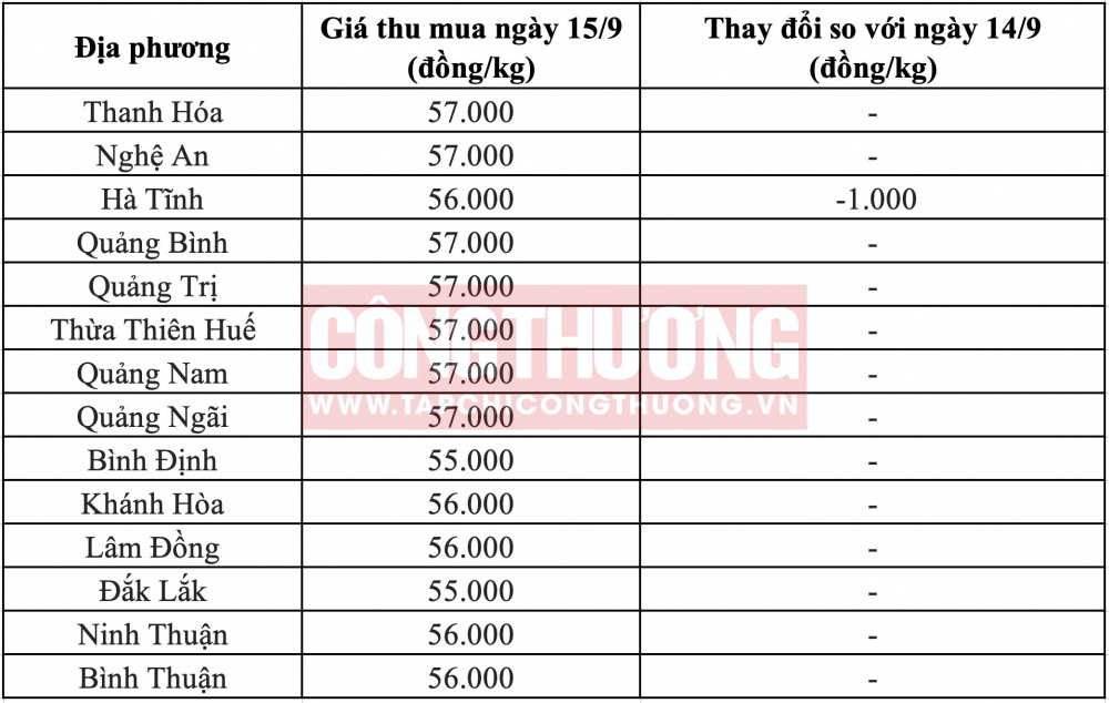 Giá heo hơi hôm nay tại miền Trung CWIN ✅ Nhà cái cờ bạc trực tuyến tốt nhất và Thương hiệu uy tín