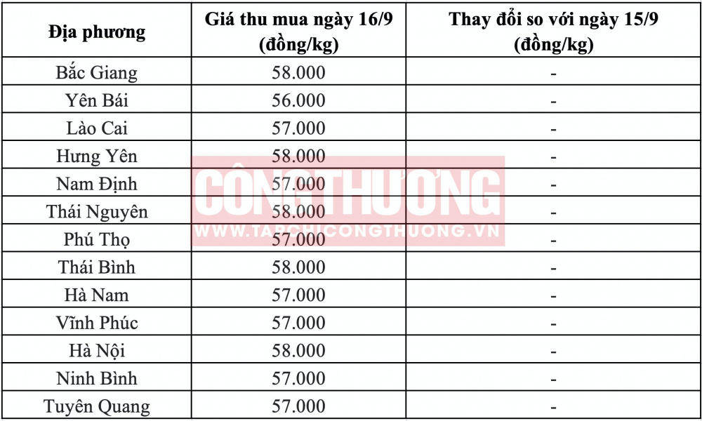 Giá heo hơi hôm nay tại miền Bắc CWIN ✅ Nhà cái cờ bạc trực tuyến tốt nhất và Thương hiệu uy tín