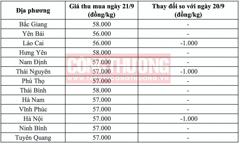 Giá heo hơi hôm nay tại miền Bắc CWIN ✅ Nhà cái cờ bạc trực tuyến tốt nhất và Thương hiệu uy tín