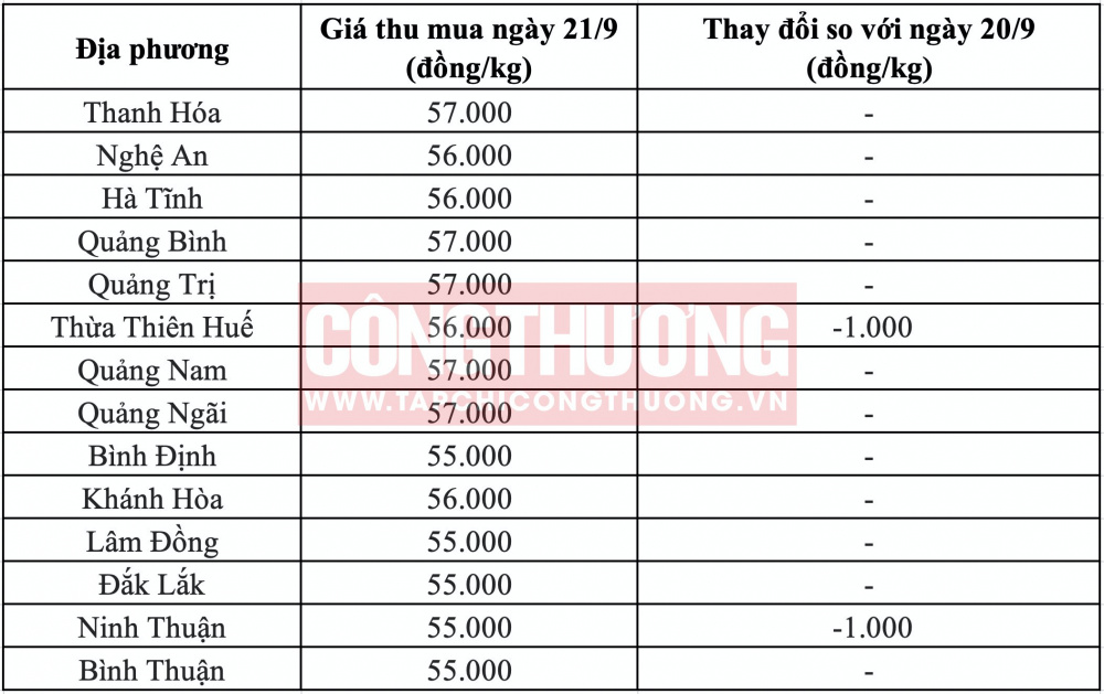 Giá heo hơi hôm nay tại miền Trung CWIN ✅ Nhà cái cờ bạc trực tuyến tốt nhất và Thương hiệu uy tín
