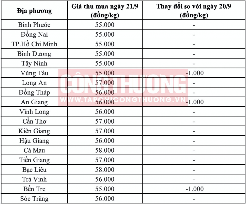 Giá heo hơi hôm nay tại miền Nam CWIN ✅ Nhà cái cờ bạc trực tuyến tốt nhất và Thương hiệu uy tín